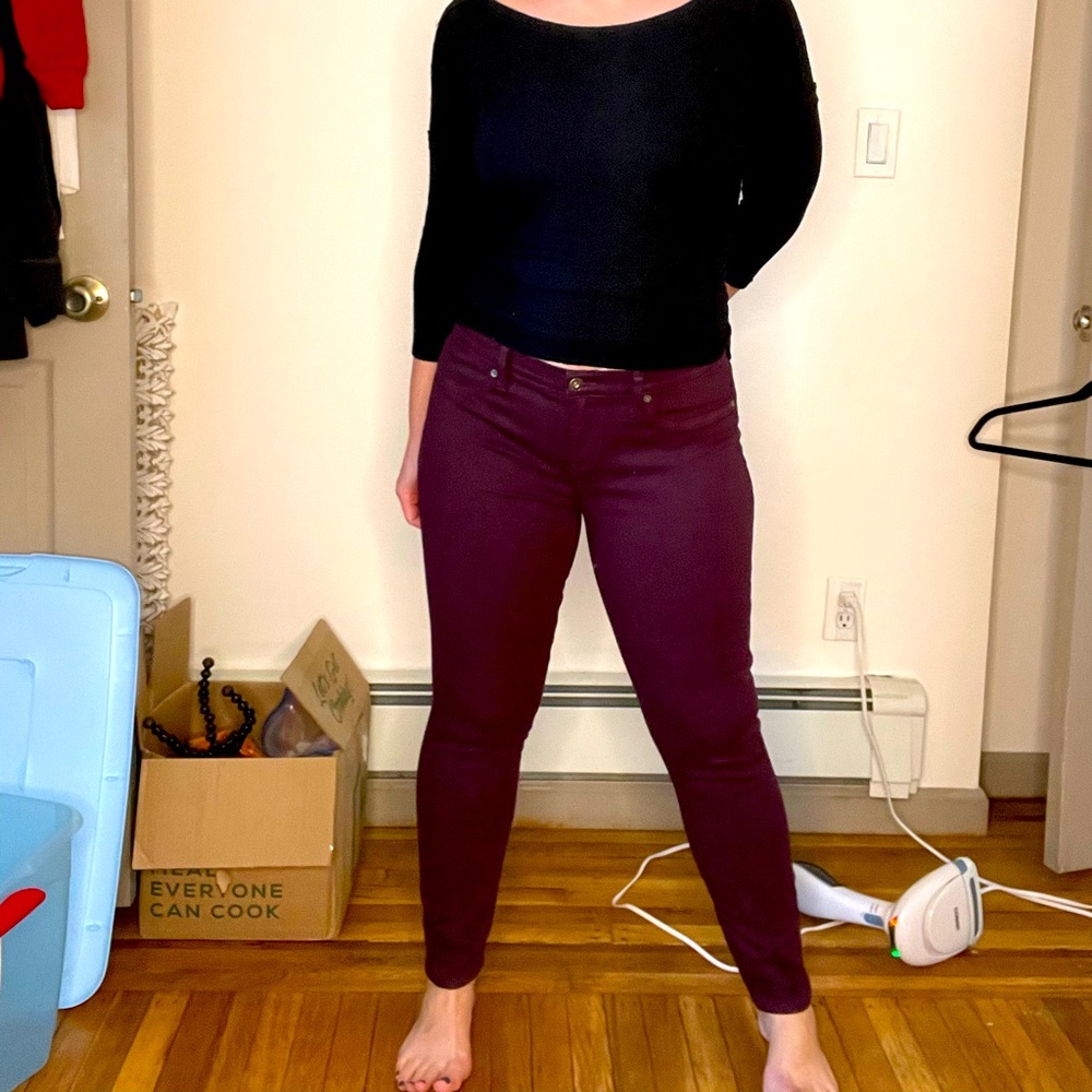 Cabernet Colored Pants - Size 29